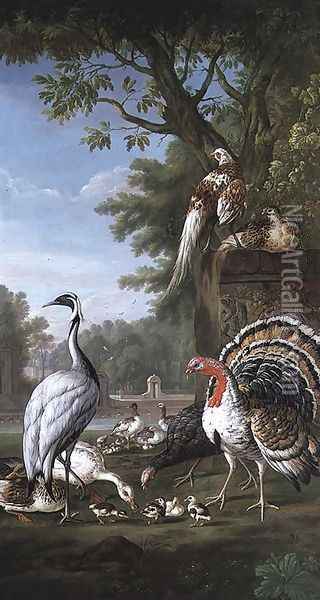 Group of Exotic Birds Oil Painting - Pieter Casteels