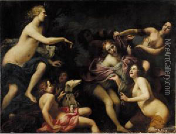 Diana And Callisto Oil Painting - Baldassarre Franceschini