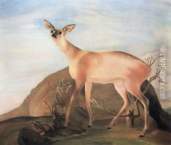 Deer, 1893 Oil Painting - Tivadar Kosztka Csontvary