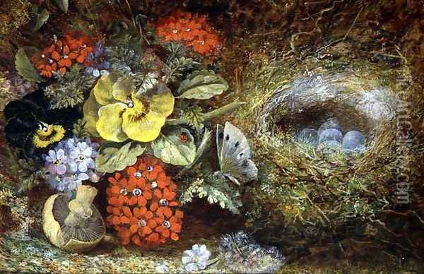 Flowers and Bird's Nest with Butterfly and Mushroom Oil Painting - Oliver Clare