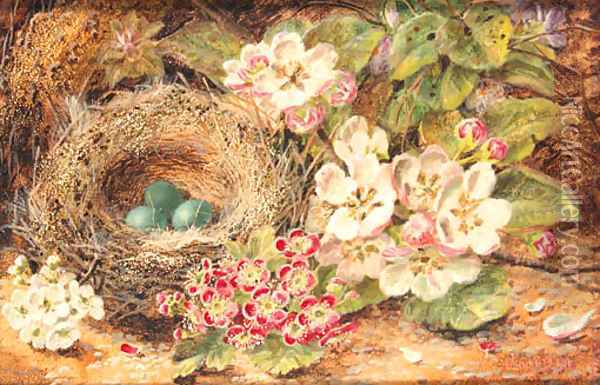 Apple Blossom, Primulas, a Bird's Nest with Eggs, on a mossy Bank Oil Painting - Oliver Clare