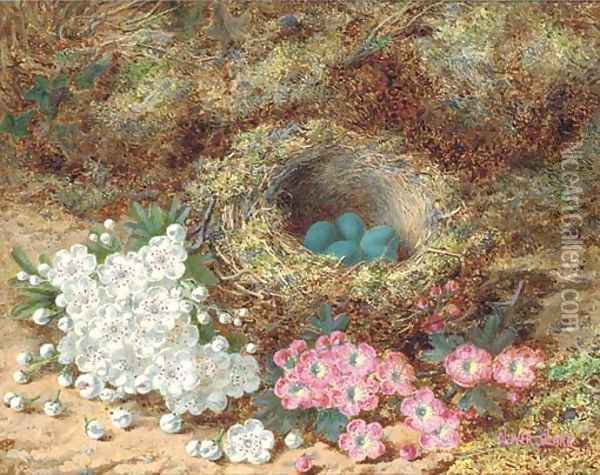 Still life of apple blossom and a bird's nest on a mossy bank Oil Painting - Oliver Clare
