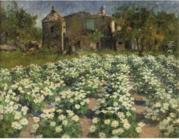 Field Of Flowers Oil Painting - George Hitchcock