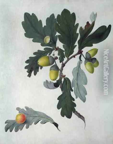 Quercus Oil Painting - Matilda Conyers