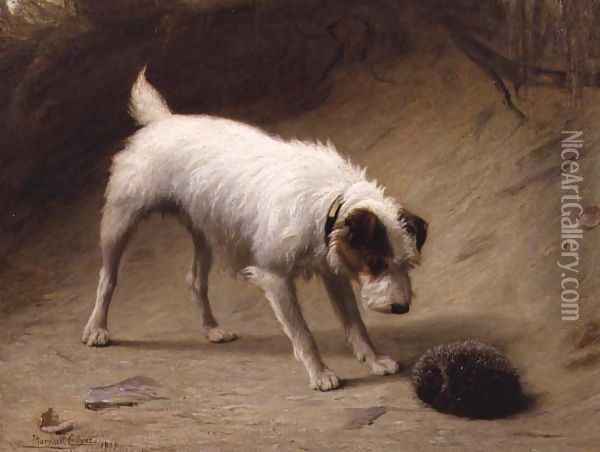 Nonplussed 1900 Oil Painting - Margaret Collyer