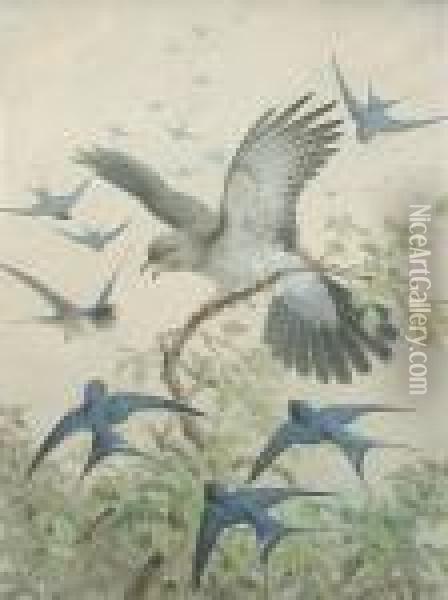Swallows Mobbing A Cuckoo Oil Painting - Johan Gerard Keulemans