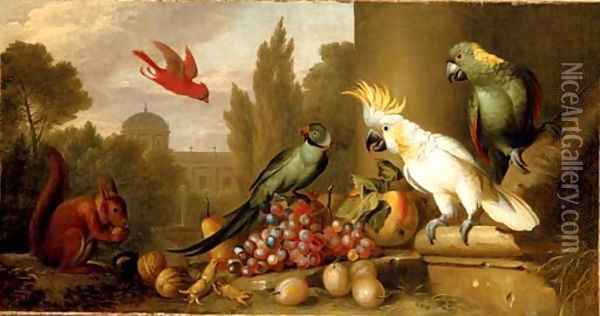 A Cardinal, a Plum-Headed Parakeet, a Lesser Sulphur-Crested Cockatoo, a Yellow-Naped Amazon Oil Painting - Jakob Bogdani Eperjes C