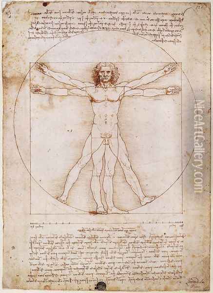 Vitruvian Man Oil Painting - Leonardo Da Vinci