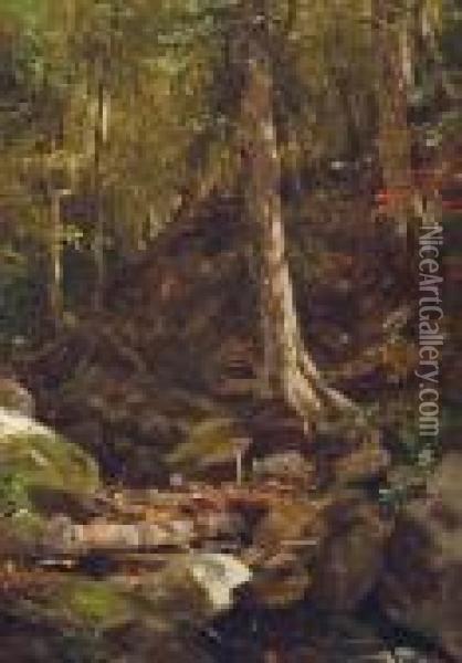 Forest Interior Oil Painting - Jervis McEntee