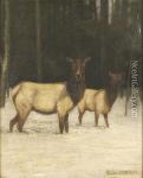 Study Of Elk Oil Painting - Alexander Pope