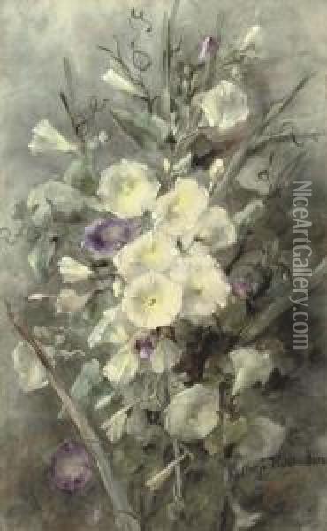 Purple And White Field Bindweed Oil Painting - Margaretha Roosenboom