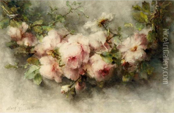 A Swag Of Pink Roses Oil Painting - Margaretha Roosenboom