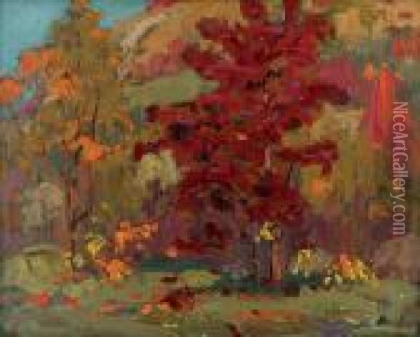 Algonquin Park Oil Painting - Tom Thomson