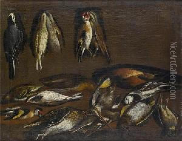 Dead Pied Wagtails, Goldfinches 
And Other Birds Hanging On A Wall With A Snipe And Other Birds On A 
Table-top Oil Painting - Jacob van der (Giacomo da Castello) Kerckhoven