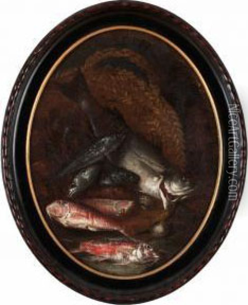 Stilleben Med Fiskar Och Musslor Oil Painting - Jacob van der (Giacomo da Castello) Kerckhoven