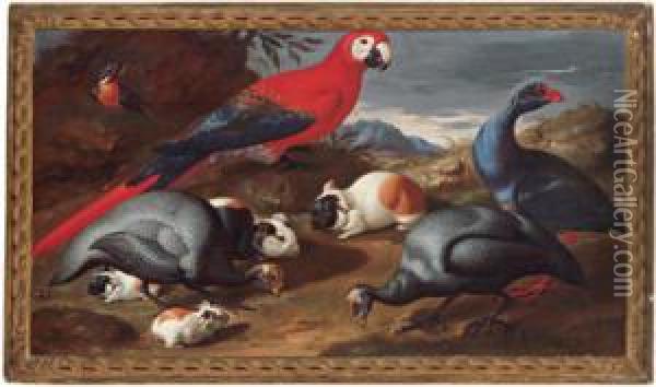 Anversa - Venezia Circa 1712) Natura Morta Con Pappagallo E Uccelli Oil Painting - Jacob van der (Giacomo da Castello) Kerckhoven