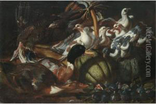 A Still Life With Ducks, Pigeons, A Dead Turkey, Figs And Melons Oil Painting - Jacob van der (Giacomo da Castello) Kerckhoven