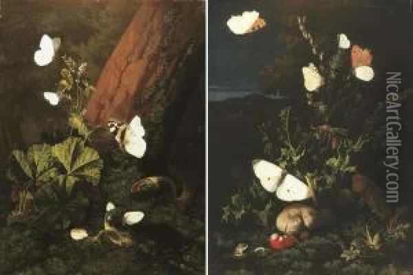 A Forest Floor Still Life With 
Butterflies And Snails, A Landscape Beyond; And A Forest Floor Still 
Life With Butterflies And Lizards Oil Painting - Carl Wilhelm de Hamilton