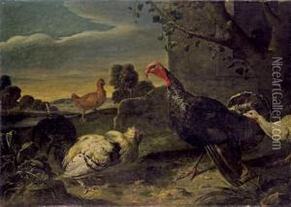 Dindons Et Poules Oil Painting - Adriaen van Utrecht