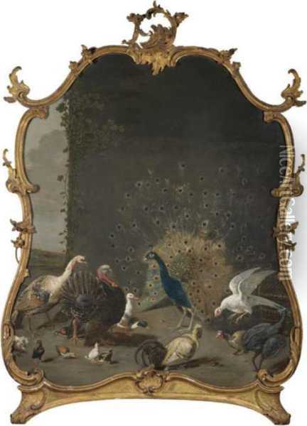 A Still Life With A Peacock, A Turkey And Various Other Birds In A Landscape Oil Painting - Adriaen van Utrecht