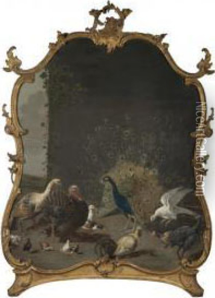 An Assembly Of Birds In An Exterior, Including A Peacock And A Turkey Oil Painting - Adriaen van Utrecht
