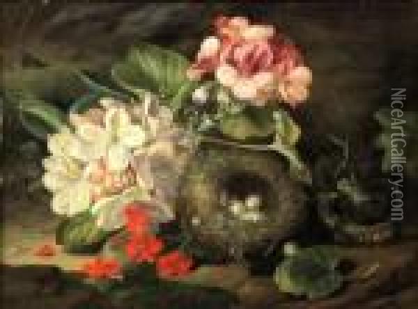 A Still Life Of Blossom And A Bird's Nest Oil Painting - John Wainwright