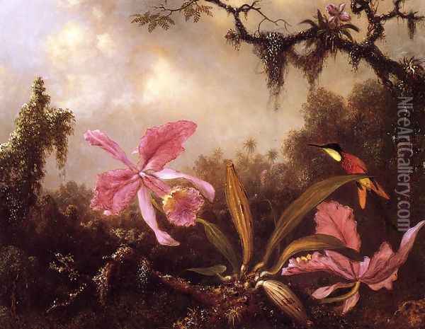 Orchids And Crimson Topaz Hummingbird Oil Painting - Martin Johnson Heade