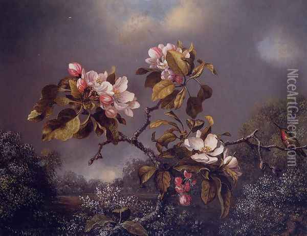 Apple Blossoms And Hummingbird Oil Painting - Martin Johnson Heade