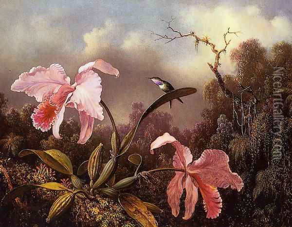 Orchids and Hummingbird Oil Painting - Martin Johnson Heade