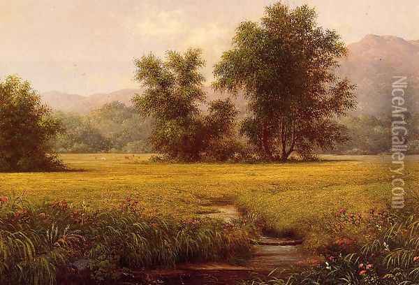 The Meadow Oil Painting - Martin Johnson Heade