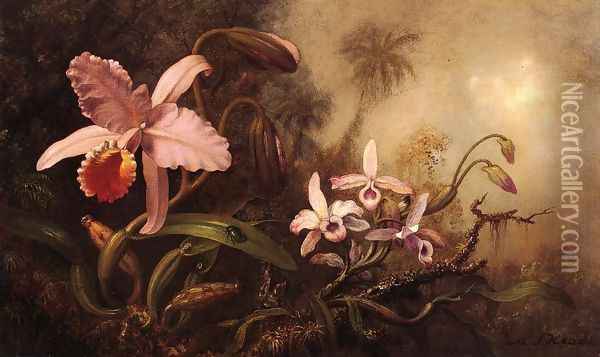 Orchids And A Beetle Oil Painting - Martin Johnson Heade