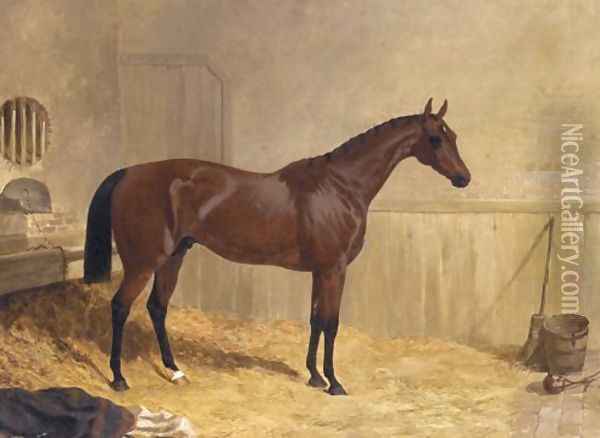 Cotherstone A Racehorse 1843 Oil Painting - John Frederick Herring Snr
