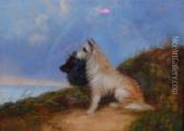 Terriers Looking Out To Sea Oil Painting - George Armfield
