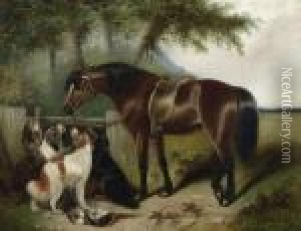 Pferd Und Hunde. Oil Painting - George Armfield