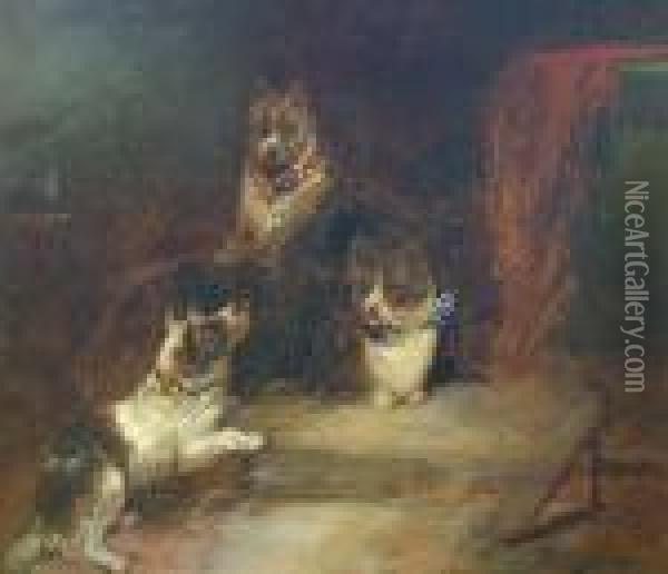 'rabbits And A Fox' And 'three Terriers' Oil Painting - George Armfield