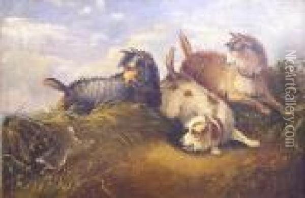 Gone To Ground - Terriers By A Rabbit Hole Oil Painting - George Armfield