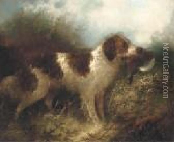 A Spaniel With A Pheasant Oil Painting - George Armfield