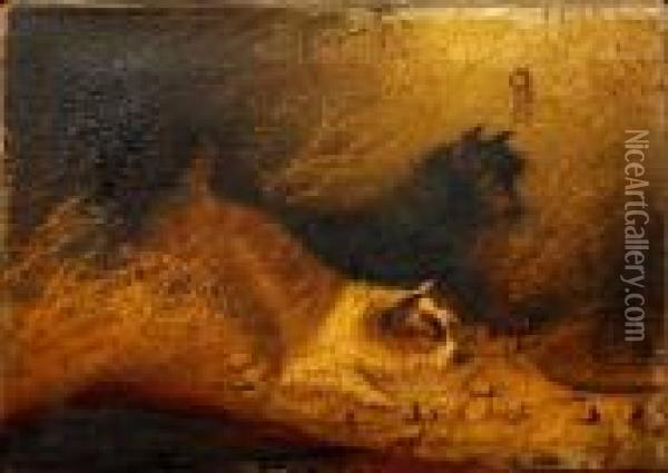Two Terriers Oil Painting - George Armfield