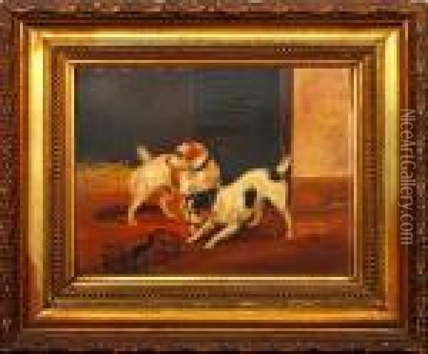 Two Terriers With A Caged Rat Oil Painting - George Armfield