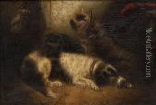 Three Terriersresting Oil Painting - George Armfield