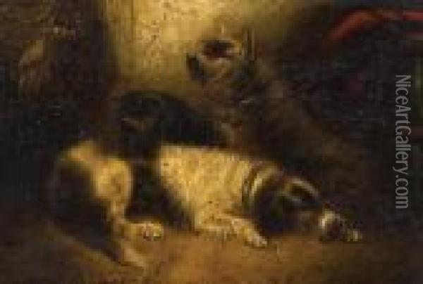 Three Terriers Resting; Two Terriers Alert Oil Painting - George Armfield