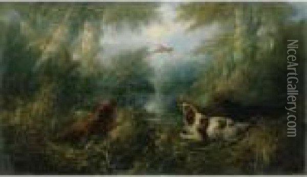 Spaniels And Pheasants Oil Painting - George Armfield