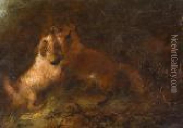 Dog And Fox Oil Painting - George Armfield