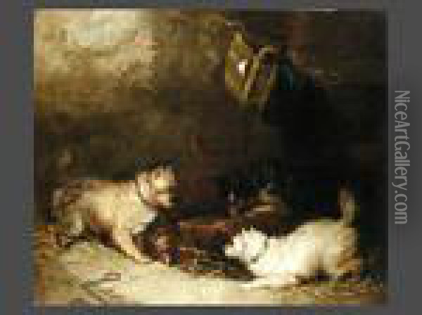Hunde Vor Einem Vogelkafig Oil Painting - George Armfield