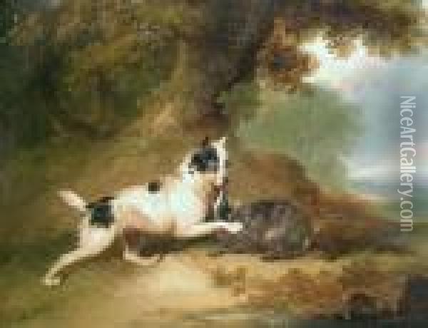 Badger Hound With His Quarry Oil Painting - George Armfield