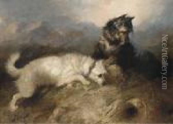 Terriers Ratting In A Barn; And Terriers At A Rabbit Hole Oil Painting - George Armfield