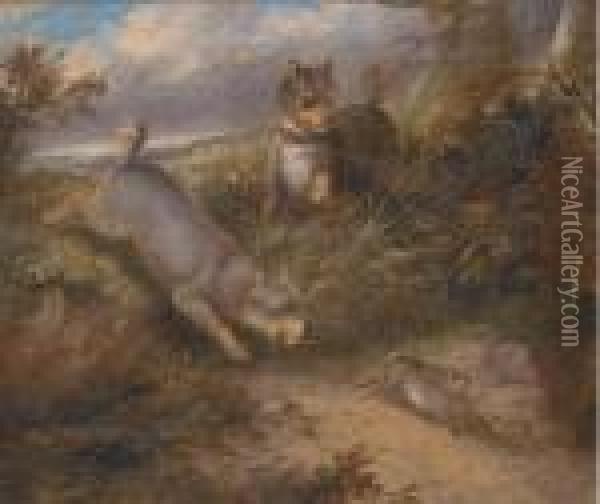 Terriers Chasing A Rabbit Oil Painting - George Armfield