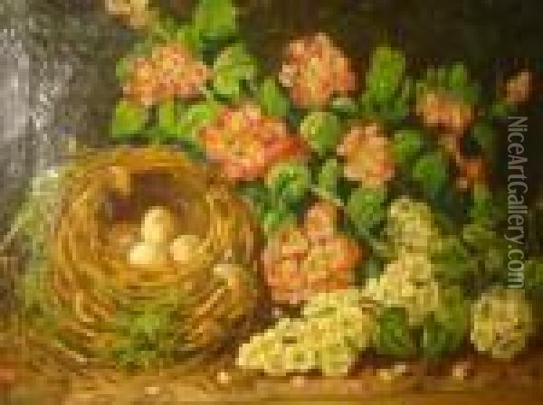 Still Life With Bird Nest And Flowers Oil Painting - Charles Thomas Bale