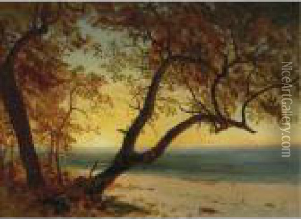 Landscape In The Bahamas Oil Painting - Albert Bierstadt