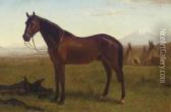 Portrait Of A Horse Oil Painting - Albert Bierstadt